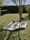 tapis-pique-nique.jpg