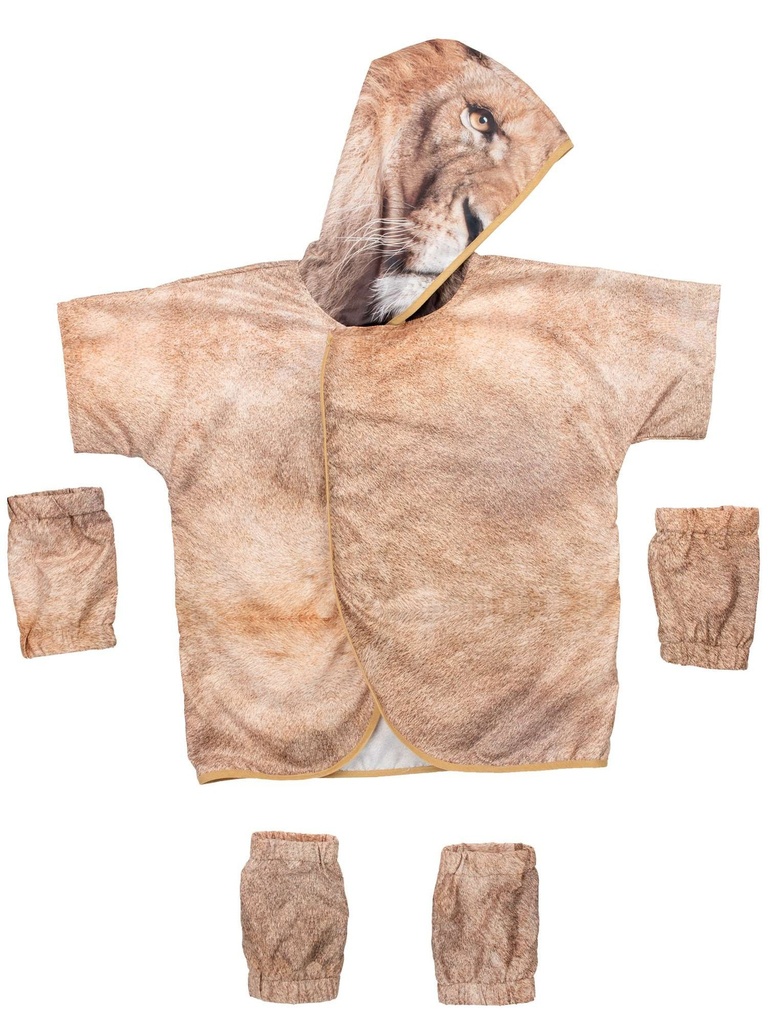 deguisement-lion2.jpg