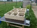 carre-potager2.webp
