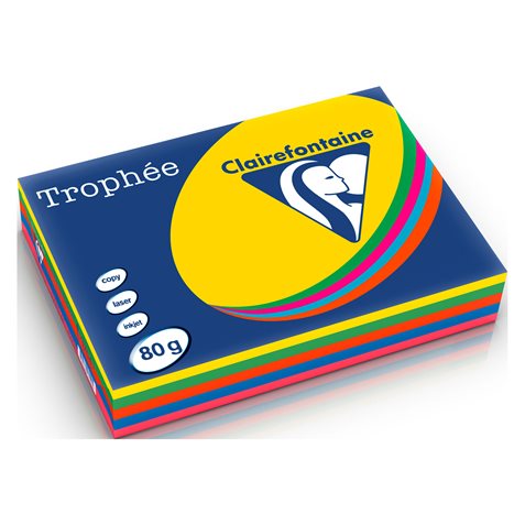 [1463] Ramette de papier à dessin A4 80g en couleurs vives - lot de 2