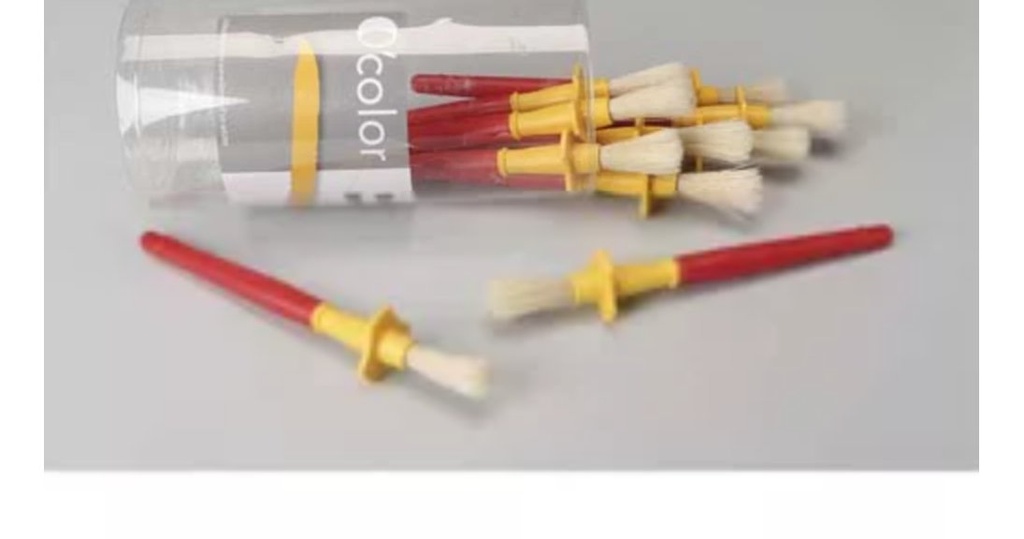 Ensemble de 10 Pinceaux Ergonomiques avec Collerette