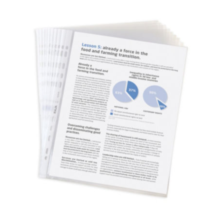 Pochettes perforées A4 en polypropylène lisse - Boîte de 100