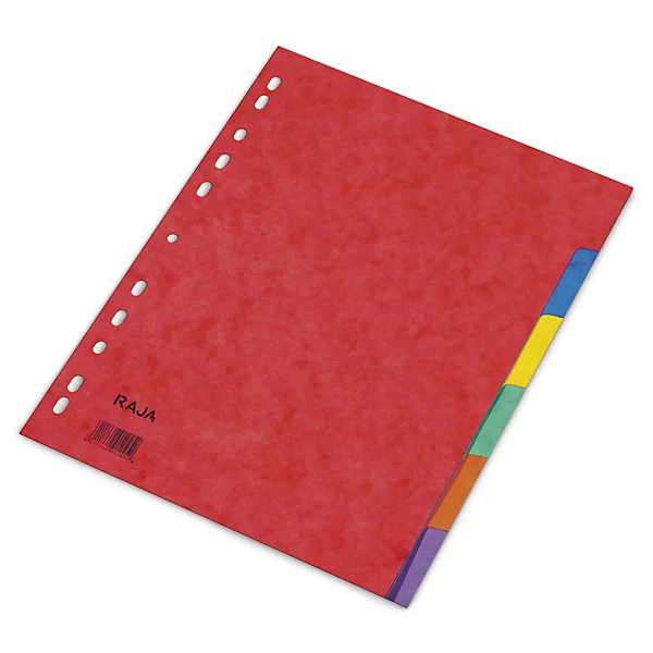 Intercalaires A4 - 6 divisions avec perforation 11 trous, lot de 2