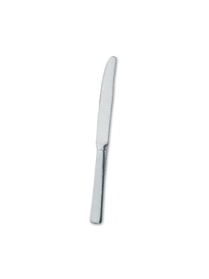 Couteaux de table professionnels, lot de 12