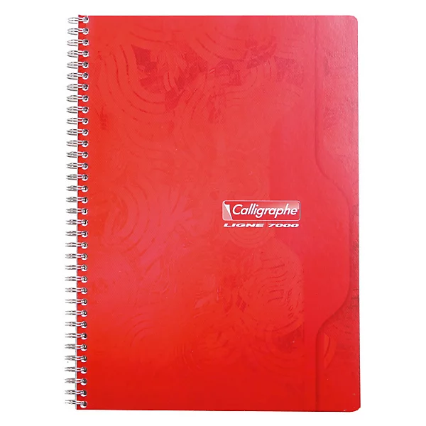 Cahier spirale A4 100 pages petits carreaux, lot de 10