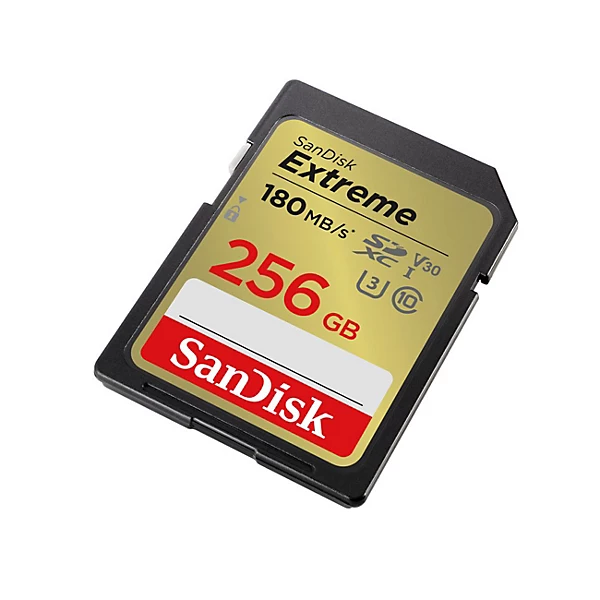 Carte mémoire 256 Go SDXC UHS-3 pour vidéos 4K et photos en rafale