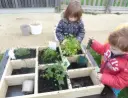 Carré potager pour sensibiliser les enfants à la nature