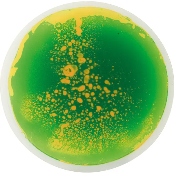 Set de 5 dalles sensorielles