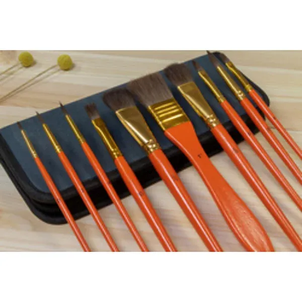 Ensemble de 20 Pinceaux dans leur étui