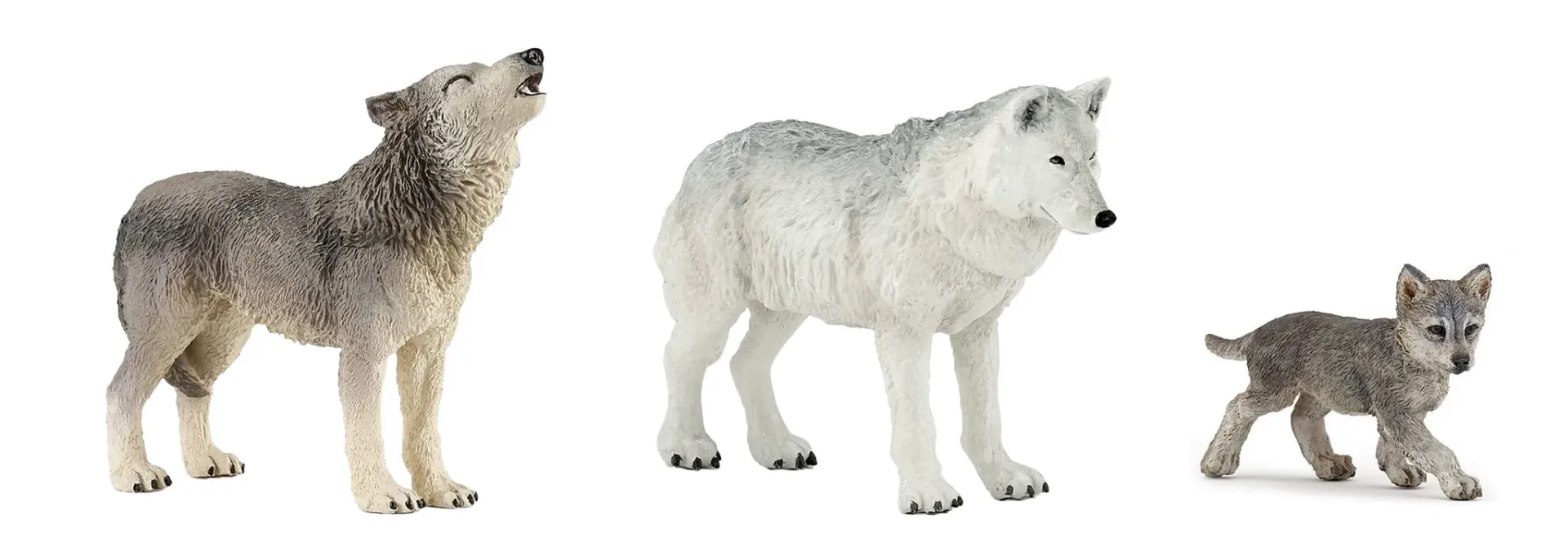 FAMILLE DE LOUP 10 MOIS ET PLUS