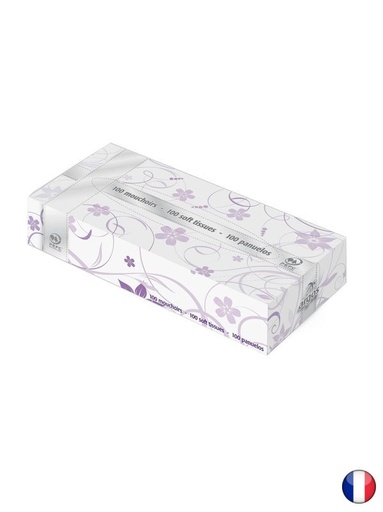 [2081] Boite mouchoirs rectangulaire 100 formats blanc 2 plis, carton de 40 boites