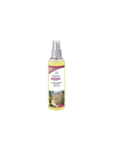 [2219] Désodorisant Professionnel Zeste Ensoleillés - 250 ml