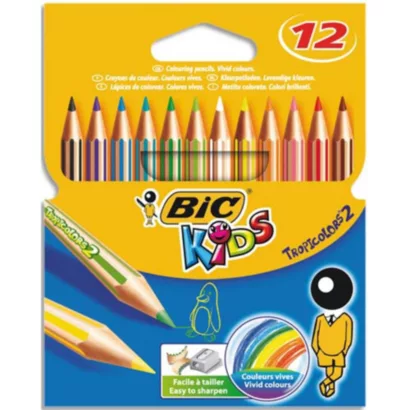 [3425] Crayons de couleur hexagonaux - Étui de 12