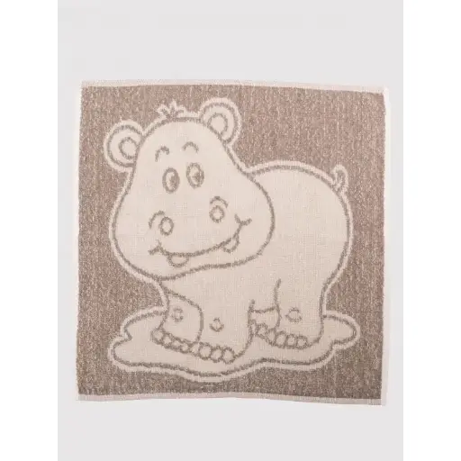 Carré éponge à motifs, lot de 5